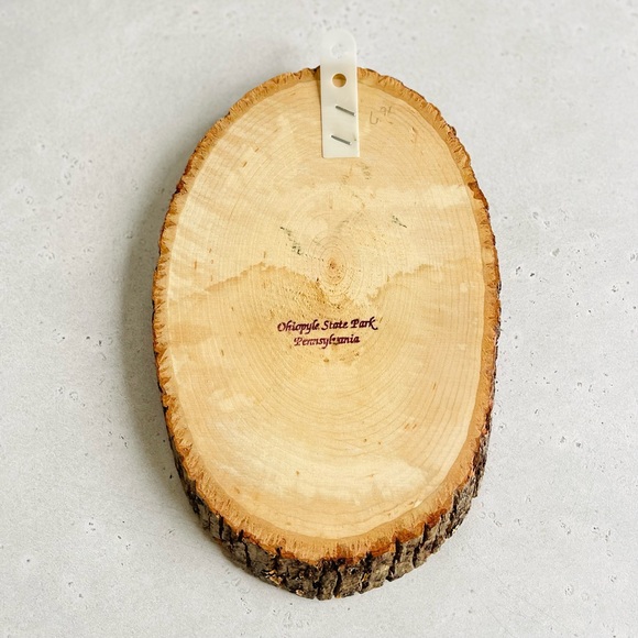 Vintage Wood Slice Souvenir Plaque Wall Hanging With Horses Mare & Foal - Picture 3 of 5